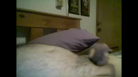 Snapshot of jerkmate6666 chatting on October 14, 2025, 2:34 am jerkmate6666 online show from October 14, 2025, 2:34 am