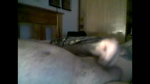 Snapshot of jerkmate6666 chatting on November 22, 2025, 9:25 pm jerkmate6666 online show from November 22, 2025, 9:25 pm