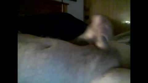 Snapshot of jerkmate6666 chatting on December 4, 2025, 10:29 pm jerkmate6666 online show from December 4, 2025, 10:29 pm