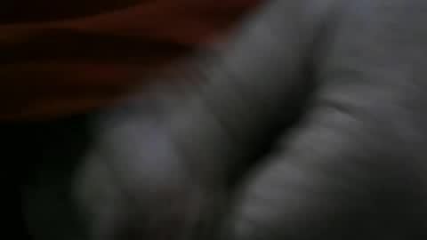 Snapshot of jerom111111111 chatting on January 2, 2025, 2:24 pm jerom111111111 online show from January 2, 2025, 2:24 pm