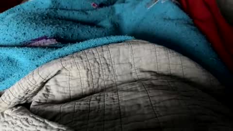 Jeremys room chill and puff one enjoy online show from December 25, 2024, 2:34 pm