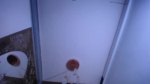 Snapshot of jesse_capelli chatting on January 14, 2025, 11:27 pm online show from January 14, 2025, 11:27 pm