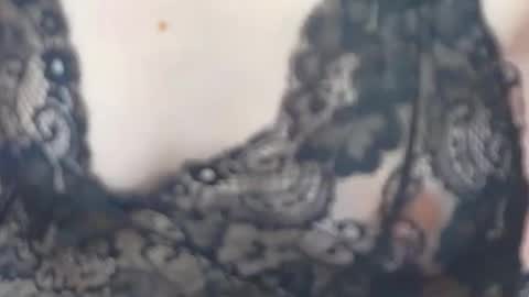 Snapshot of jessiestarrr chatting on February 17, 2026, 5:41 pm JessieStarrr online show from February 17, 2026, 5:41 pm