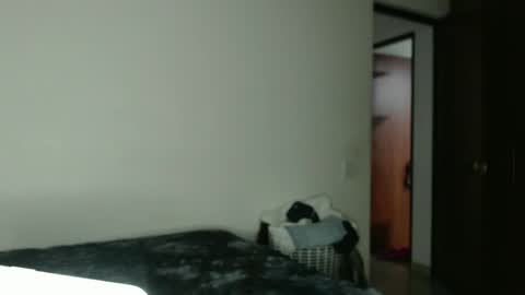 Snapshot of jesus_saab chatting on January 31, 2025, 6:13 am jesus online show from January 31, 2025, 6:13 am