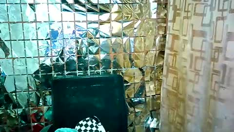 Snapshot of jet_clomet21 chatting on February 16, 2025, 1:16 pm Ale online show from February 16, 2025, 1:16 pm