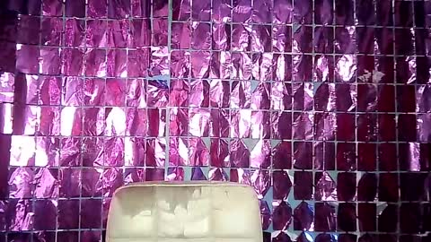 Snapshot of jet_clomet21 chatting on March 10, 2025, 9:40 pm Ale online show from March 10, 2025, 9:40 pm