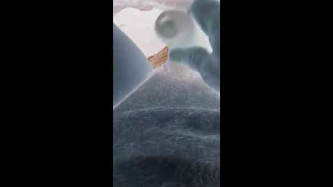 En moreno online show from November 14, 2025, 9:41 am