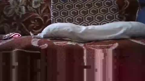 jimmyshelby12 online show from January 25, 2025, 6:34 am