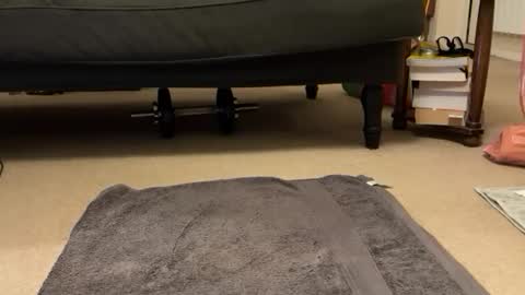 Snapshot of jinker2002 chatting on December 16, 2024, 5:22 pm jinker2002 online show from December 16, 2024, 5:22 pm