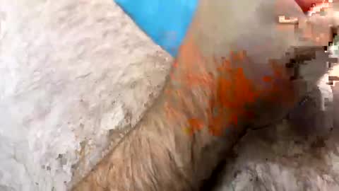 Jkriss online show from September 27, 2025, 6:24 pm