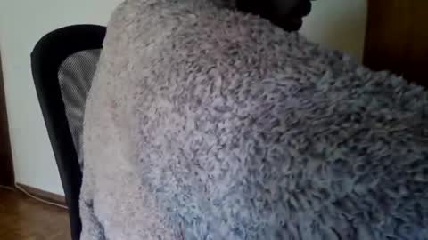 Snapshot of joaodias_18 chatting on December 13, 2024, 2:16 pm joaodias_18 online show from December 13, 2024, 2:16 pm