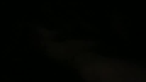 Snapshot of joe_3332 chatting on May 15, 2026, 7:48 am joe_3332 online show from May 15, 2026, 7:48 am