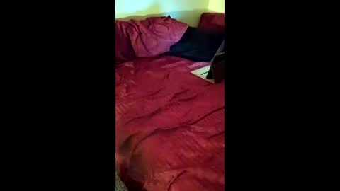 Snapshot of joeborrowman7 chatting on March 1, 2026, 8:38 am joeborrowman7 online show from March 1, 2026, 8:38 am