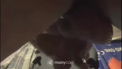 johnnyshung1 online show from February 2, 2025, 1:08 pm