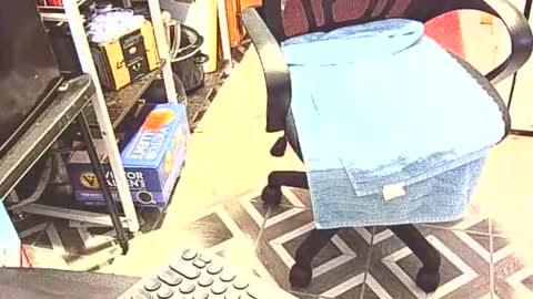 Snapshot of johnnytwain chatting on January 17, 2026, 9:51 pm johnnytwain online show from January 17, 2026, 9:51 pm