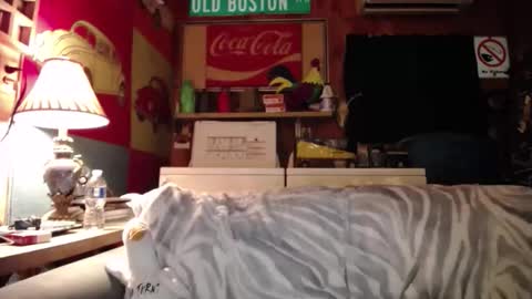 Snapshot of johstondude chatting on May 25, 2026, 1:44 am Johston online show from May 25, 2026, 1:44 am