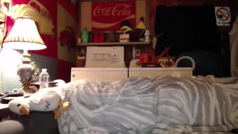 Snapshot of johstondude chatting on June 5, 2026, 6:52 am Johston online show from June 5, 2026, 6:52 am