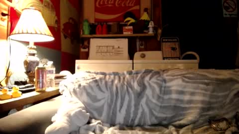 Snapshot of johstondude chatting on July 14, 2026, 2:05 am Johston online show from July 14, 2026, 2:05 am
