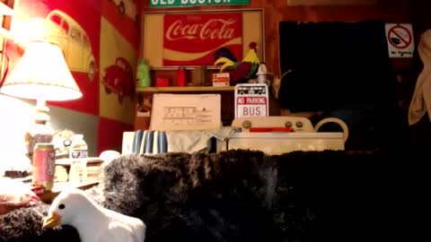 Snapshot of johstondude chatting on July 27, 2026, 1:34 am Johston online show from July 27, 2026, 1:34 am