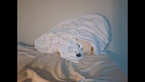 Snapshot of jojooo27 chatting on February 14, 2026, 6:48 pm jojooo27 online show from February 14, 2026, 6:48 pm