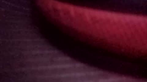 Snapshot of jonathanrossmyers858 chatting on March 13, 2026, 8:10 am jonathanrossmyers858 online show from March 13, 2026, 8:10 am