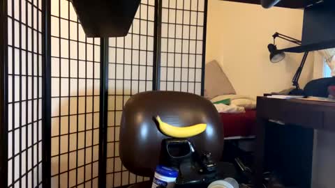 Snapshot of jondoe3657 chatting on January 23, 2025, 3:58 am jondoe3657 online show from January 23, 2025, 3:58 am