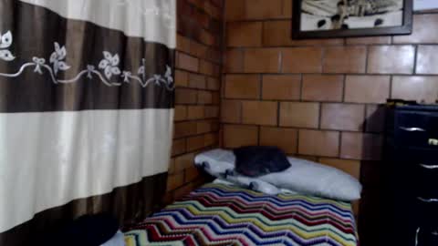 joseph online show from October 22, 2025, 3:07 am