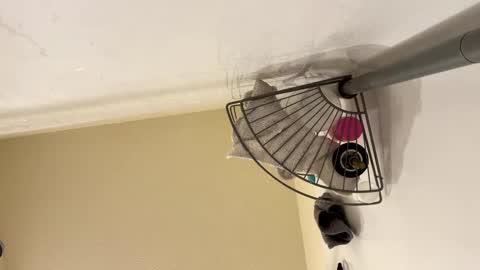 sissy josphine online show from February 15, 2025, 6:23 am