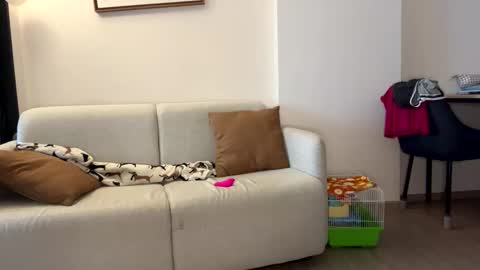 josh_xo online show from November 30, 2025, 12:25 am