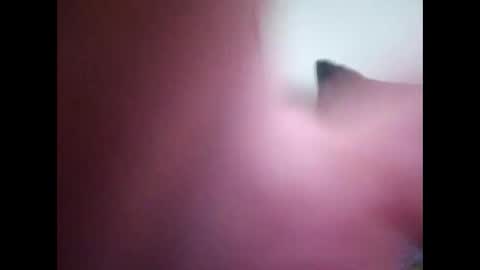 Snapshot of joshinterchecks chatting on February 25, 2026, 3:10 pm joshinterchecks online show from February 25, 2026, 3:10 pm