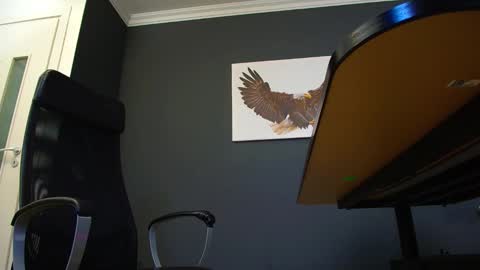 Snapshot of joshknights chatting on March 4, 2025, 8:13 am JoshKnight online show from March 4, 2025, 8:13 am