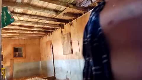 Snapshot of joshnewman540 chatting on September 14, 2025, 7:02 pm joshnewman540 online show from September 14, 2025, 7:02 pm