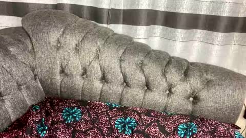 Snapshot of joyslim1 chatting on March 4, 2026, 3:12 am Butterflyass online show from March 4, 2026, 3:12 am