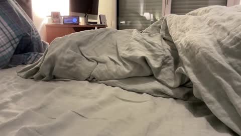 jpr07 online show from November 10, 2025, 5:50 am