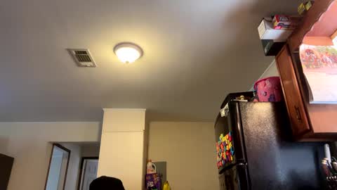 Snapshot of jr_is_back chatting on February 27, 2025, 6:31 pm Assholelover online show from February 27, 2025, 6:31 pm