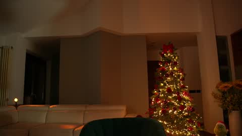 Snapshot of jseductiveart chatting on December 13, 2024, 8:37 pm Jennifer Diaz online show from December 13, 2024, 8:37 pm