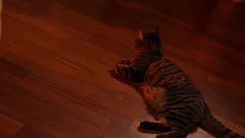 Snapshot of jseductiveart chatting on February 3, 2025, 11:15 pm Jennifer Diaz online show from February 3, 2025, 11:15 pm