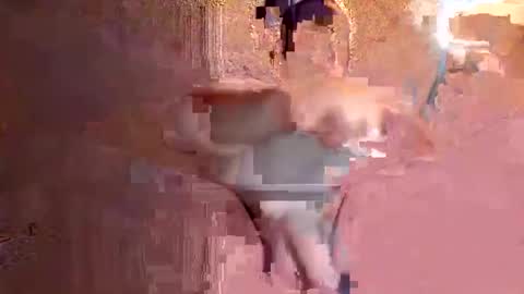 juan575390 online show from December 17, 2024, 1:07 am