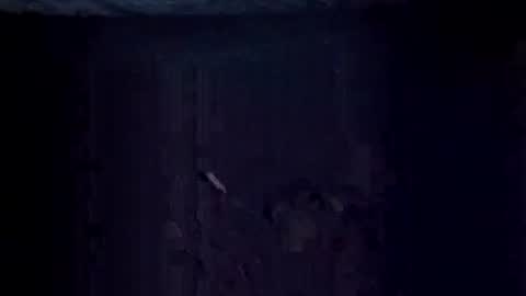 Jugg online show from December 20, 2025, 9:16 am