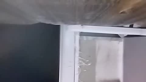 Carlos online show from December 9, 2024, 2:34 am