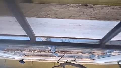 Carlos online show from January 13, 2025, 7:31 pm