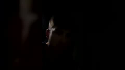 Snapshot of jul061007 chatting on March 15, 2026, 11:33 pm jul061007 online show from March 15, 2026, 11:33 pm