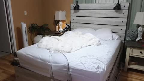 Snapshot of julianaxxxrose chatting on December 23, 2025, 3:04 am Texas Mamasita online show from December 23, 2025, 3:04 am