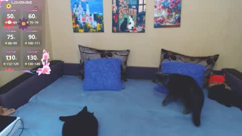 Jul online show from March 4, 2026, 9:04 am