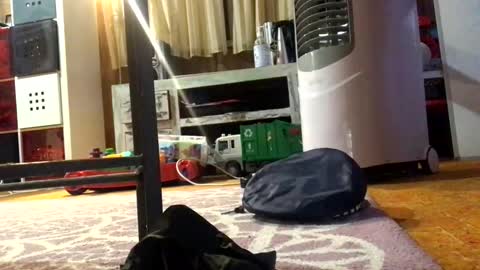 julieface87 online show from March 26, 2026, 10:10 am