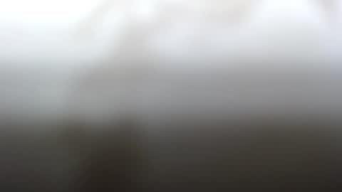 Dave online show from February 4, 2025, 2:21 pm