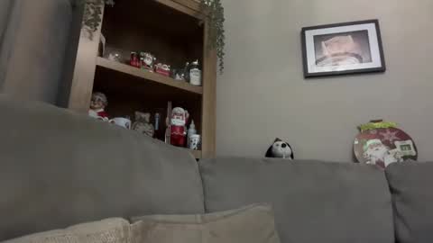 Junky online show from December 13, 2024, 7:21 pm