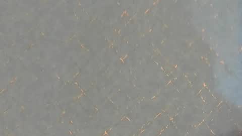 junosomnum online show from March 1, 2025, 1:53 am