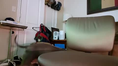 Snapshot of just4fun1523 chatting on January 9, 2026, 2:14 am just4fun1523 online show from January 9, 2026, 2:14 am