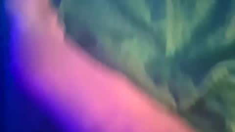 Yuri online show from March 8, 2025, 12:11 am